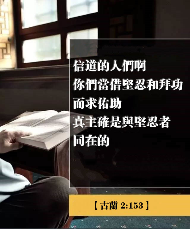 真主確是與堅忍者同在的