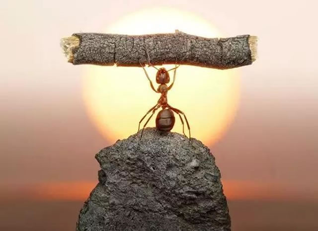 只有你的養主才清楚你到底有多強大