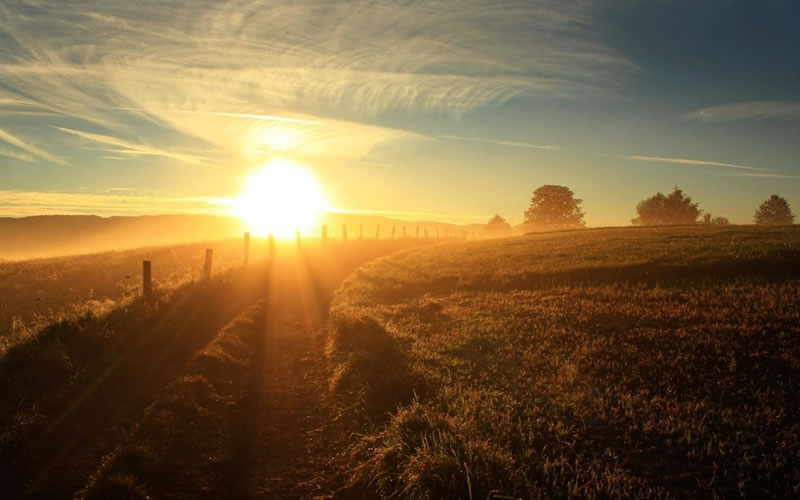 痛苦，掙扎與正信