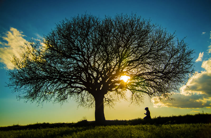 生命是來自安拉的禮物