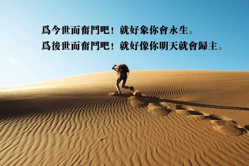為今世和後世而奮鬥吧