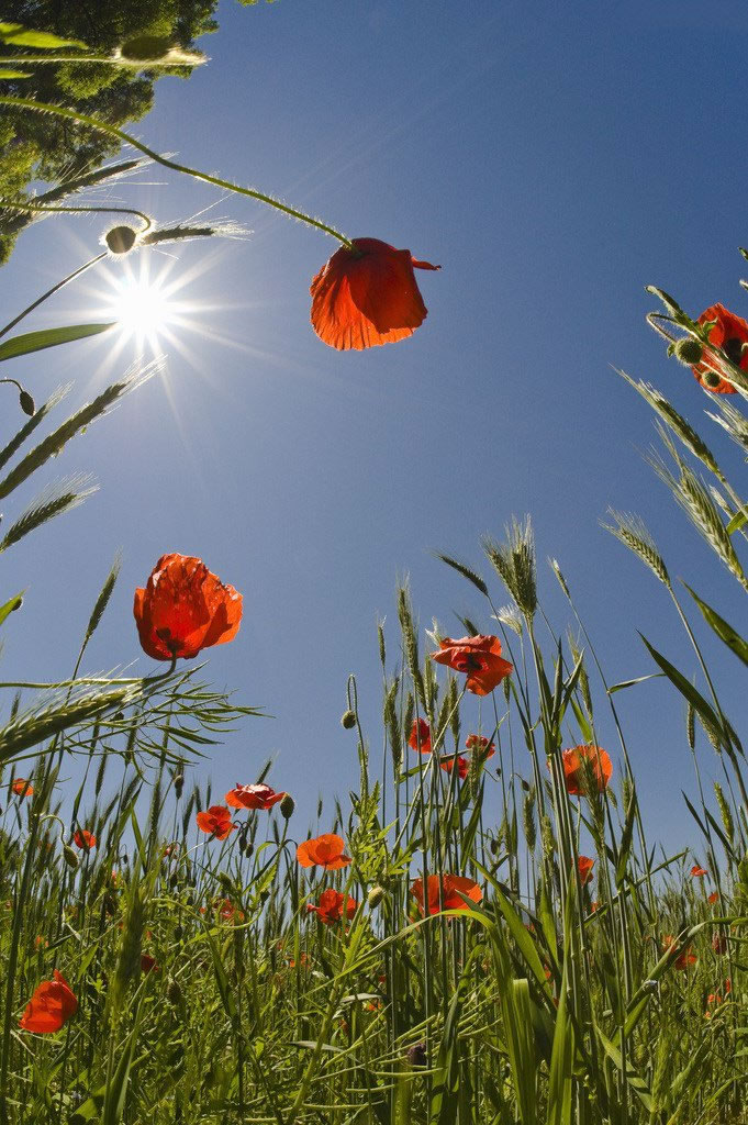 請不要用“醜陋”形容別人