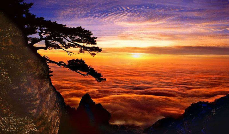 人生就是一場戰鬥