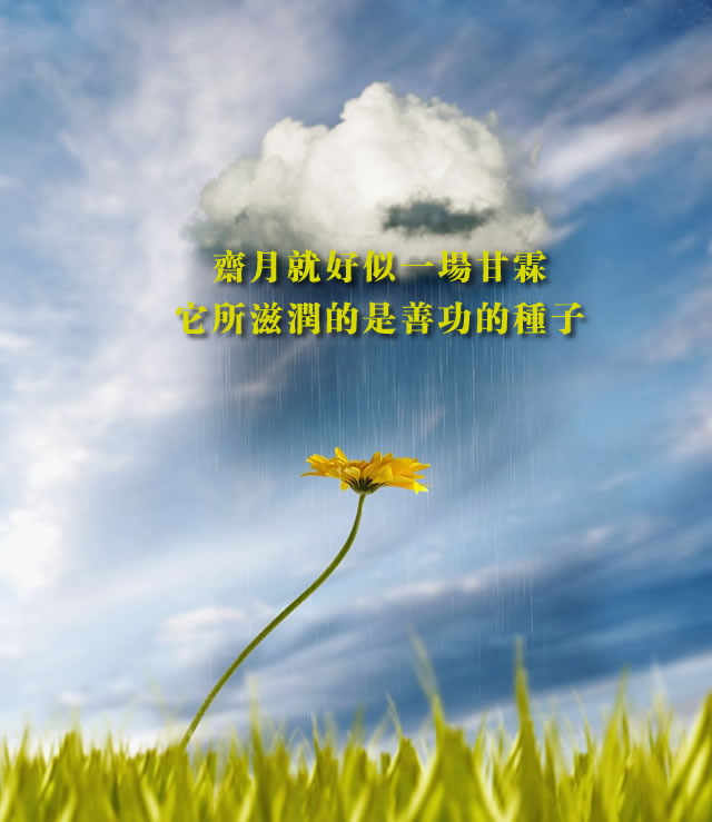 齋月就好似一場甘霖，它所滋潤的是善功的種子