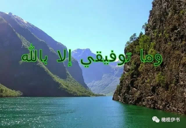 成功只憑真主的襄助