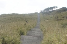 優美的結局自會降臨