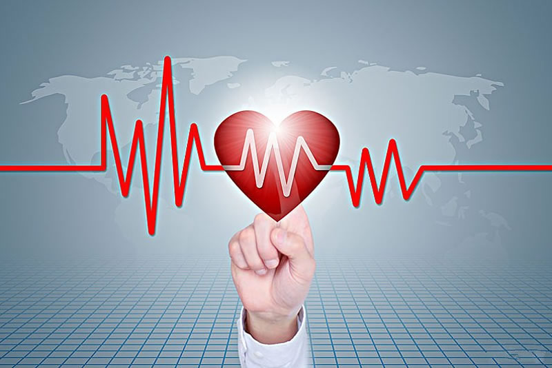 信士的好品德能使他達到白天封齋夜間禮拜者的品級