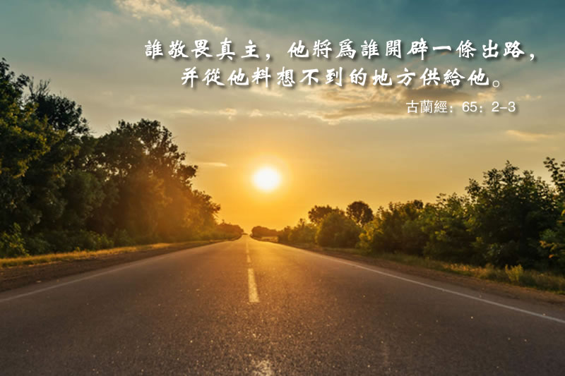 人們對你能做的，充其量只是執行真主的意志