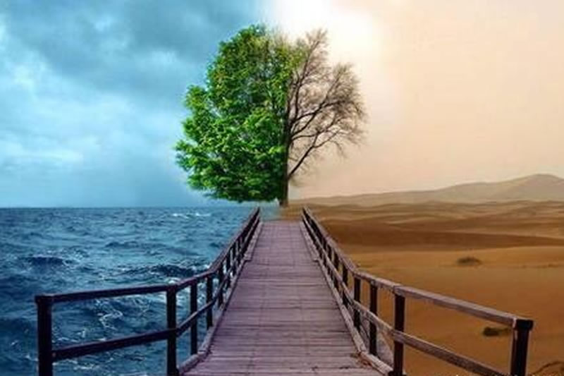 不要用​別人的錯誤傷害自己