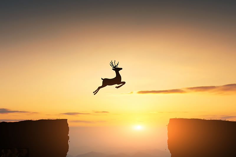 不要把托靠真主只掛在嘴上