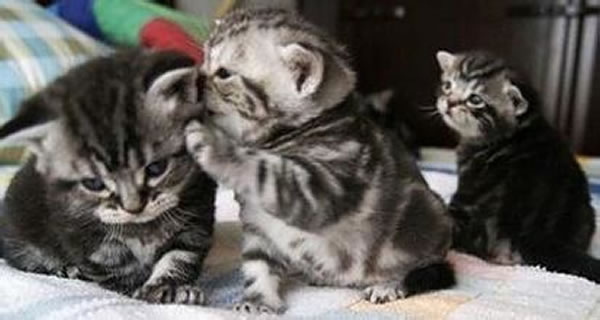 【故事會】背談者嘴臭如啖友屍