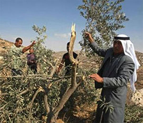 【故事會】吝嗇鬼欺窮人立遭惡報