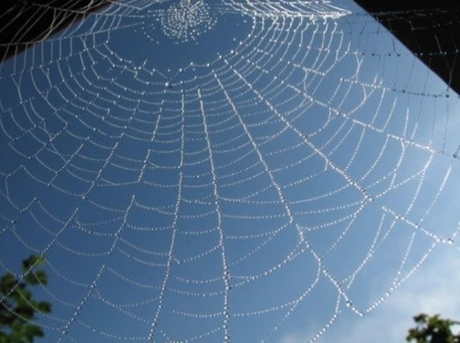 【故事會】藏身山洞與真主同在