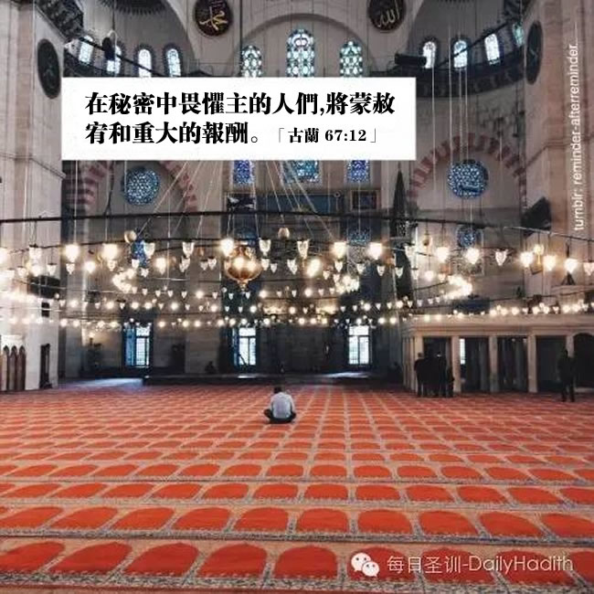 秘密中畏懼主的人們，將蒙赦宥和重大的報酬