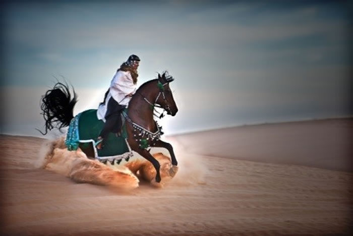  【故事會】一名麥加武士的懺悔