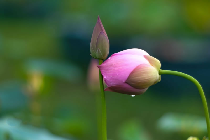 一個範例體現出真正的伊斯蘭兄弟情
