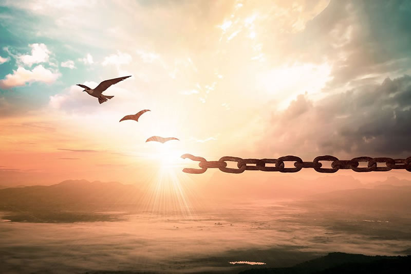 殺父仇人得到寬恕