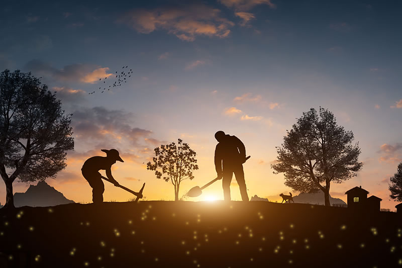 幸福是勞動和奉獻