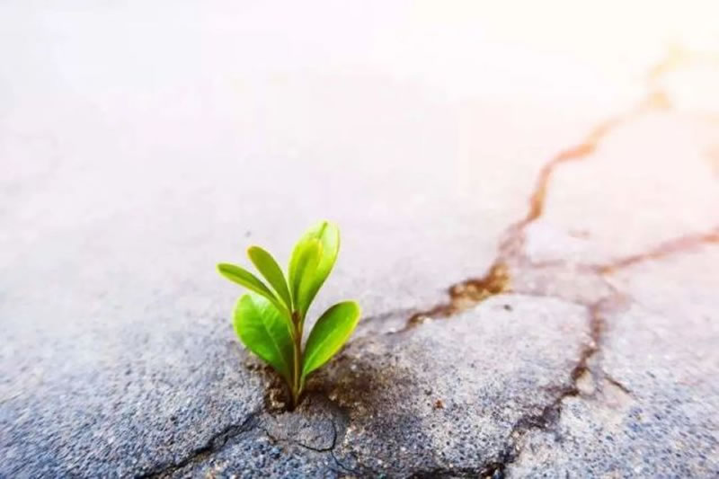 艱難過後是容易