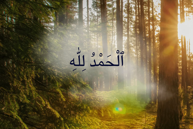 时时刻刻 事事处处都要感讃真主