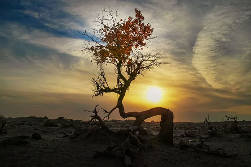 直面苦難，永不言棄