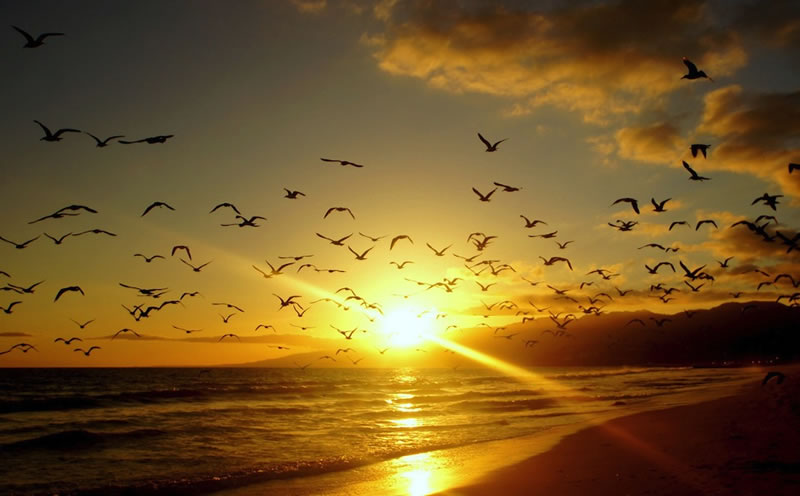 伊斯蘭的仁愛觀：兼及與儒家倫理的比較