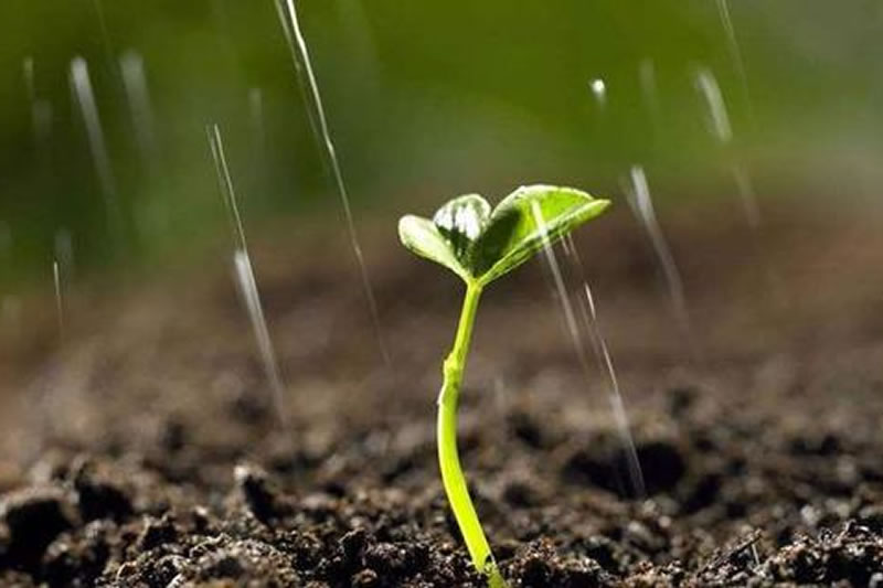 穆斯林的災難觀