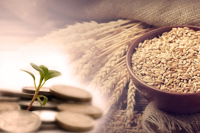 伊斯蘭的慈善觀