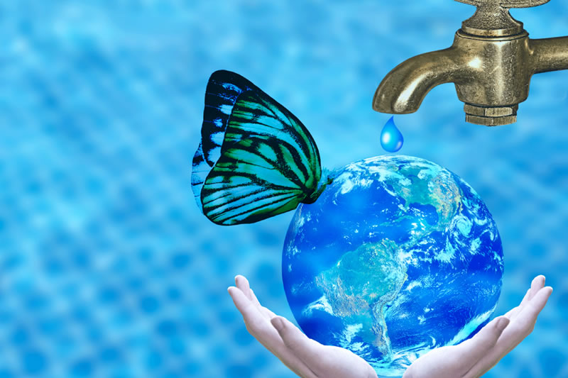 伊斯蘭如何看待水資源？