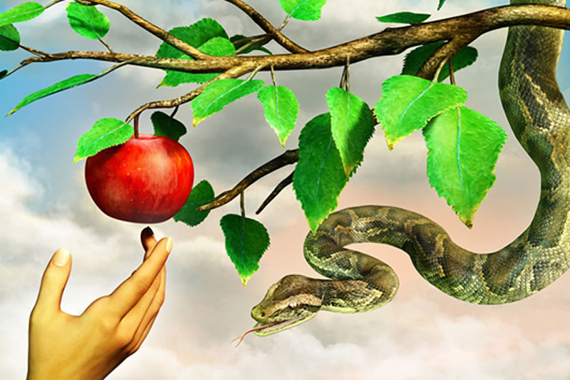 伊斯蘭信仰中不存在“原罪說”