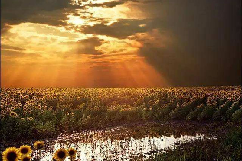 【穆斯林道德論】道德範疇涵蓋一切