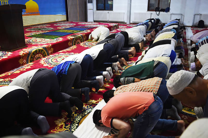 泰拉威哈拜簡介