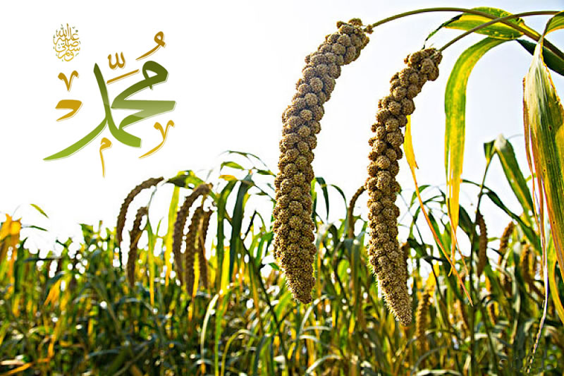 穆聖保持謙遜的方法