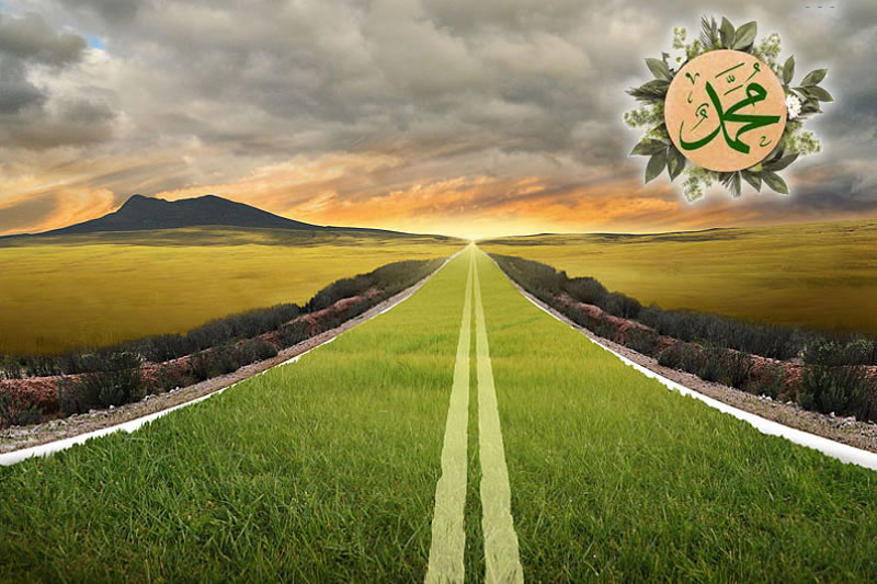 先知聖訓及生平事例中體現出的伊斯蘭環保精神 