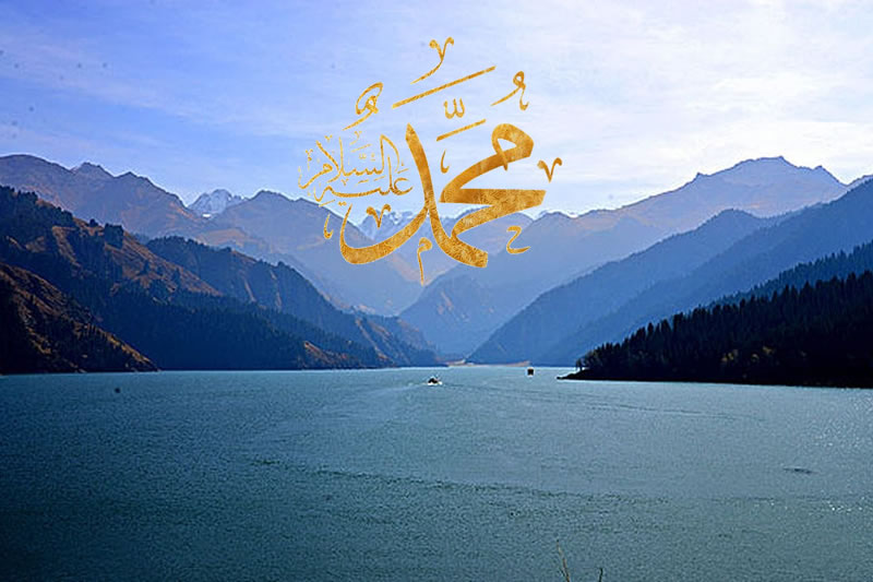 學習“穆聖的寬容”有感