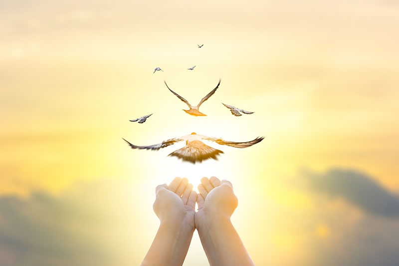 聖訓：做好四件事 平安進樂園