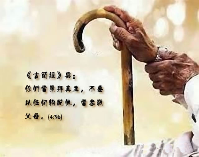 博愛社舉辦敬老會（2017）