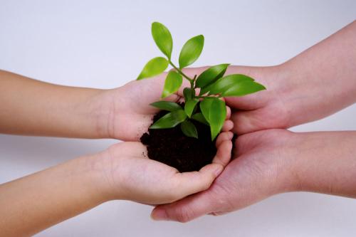 善功是信仰的自然果實