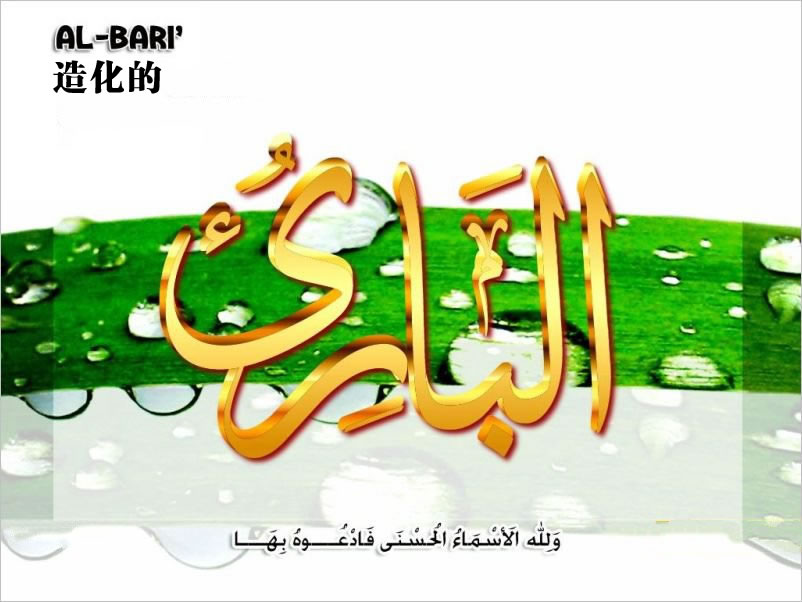 【安拉的尊名與屬性】造化的主