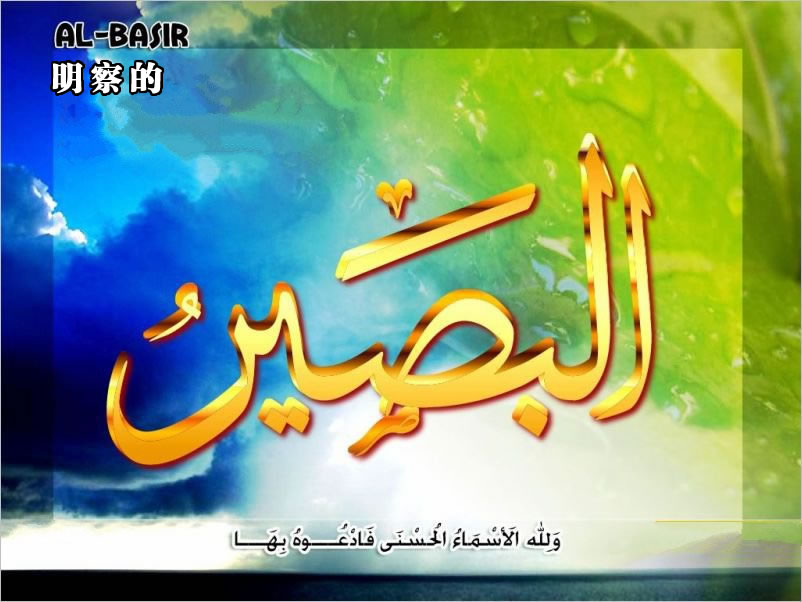 【安拉的尊名與屬性】明察的主