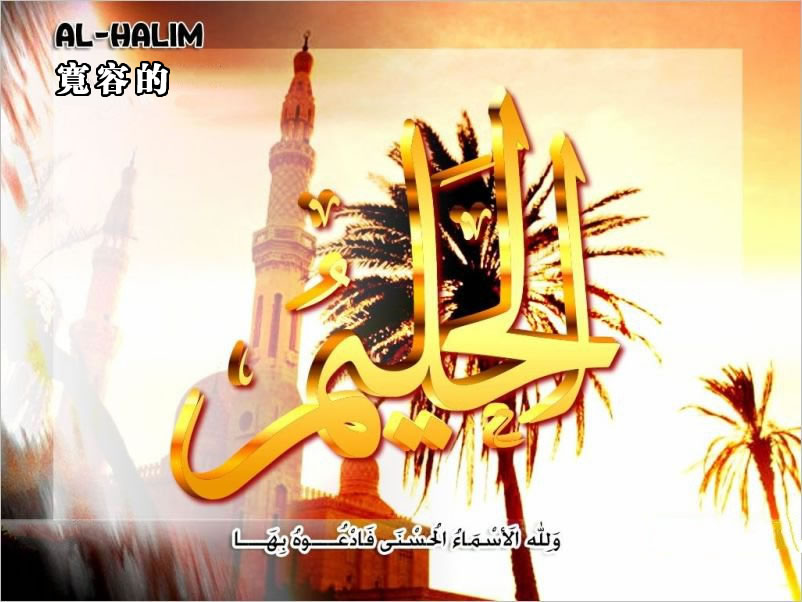 【安拉的尊名與屬性】寬容的主