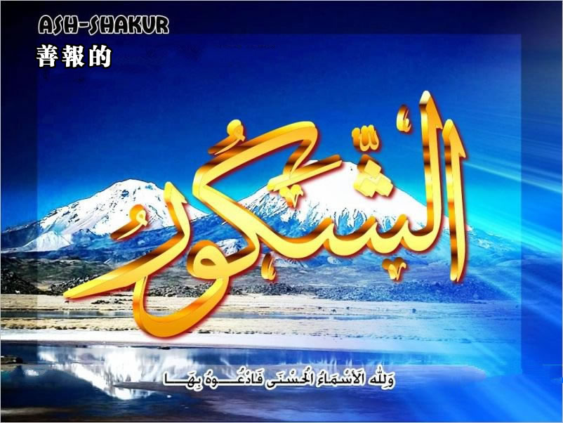 【安拉的尊名與屬性】善報的主 厚報的主