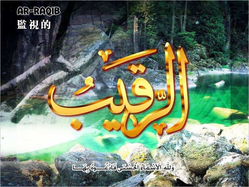 【安拉的尊名與屬性】監視的主