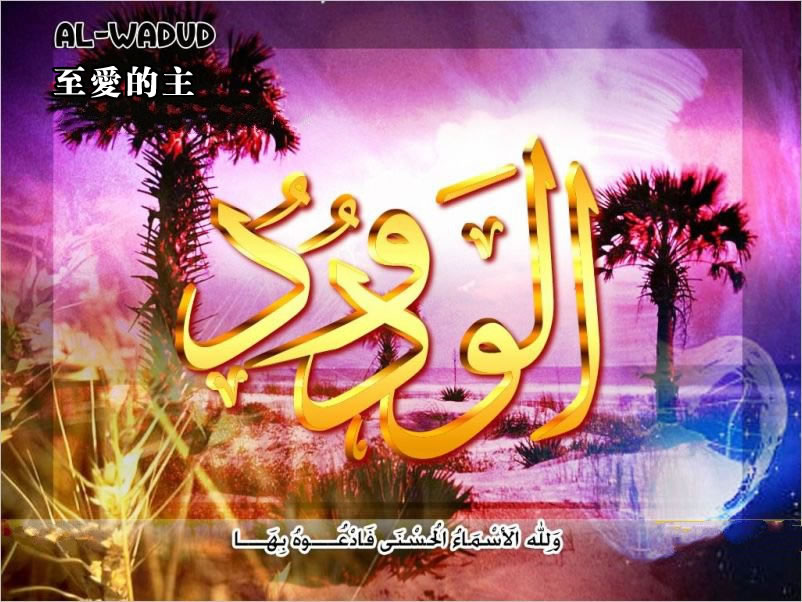 【安拉的尊名與屬性】至愛的主