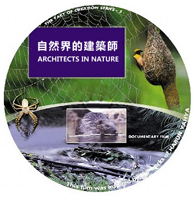 自然界的建築師(粵語旁白)