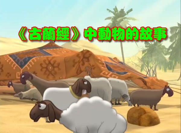 《古蘭經》中動物的故事