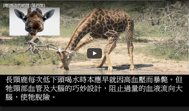 創造的明證——從納米生物科技說起(四)[粤语]