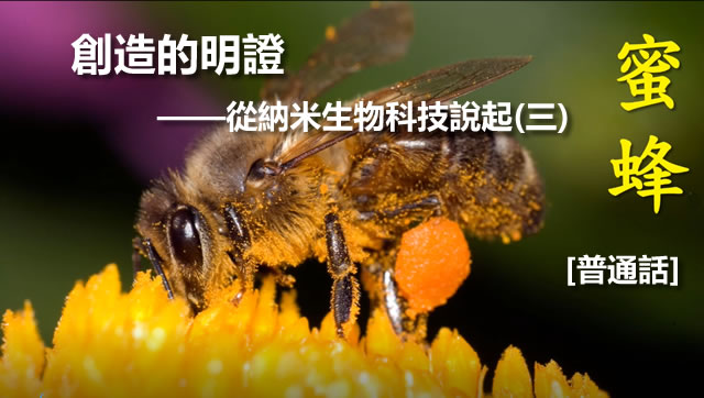 創造的明證——從納米生物科技說起(三)[普通話]