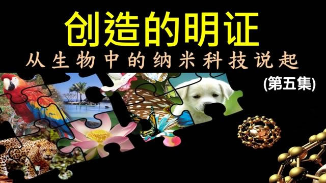 創造的明證——從納米生物科技說起(五)[普通話]