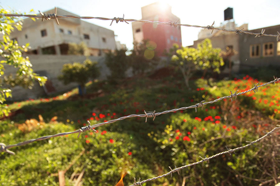 從“伊布拉欣之路”看巴勒斯坦人民對侵略的抗爭